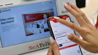 El límite máximo de transacción para los servicios de dinero móvil es de 100 millones de VND por mes.