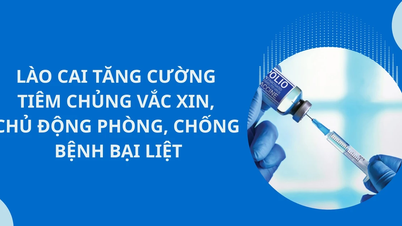 Lao Cai پولیو کی روک تھام اور کنٹرول کے لیے ویکسینیشن کی کوششوں کو مضبوط بناتا ہے۔