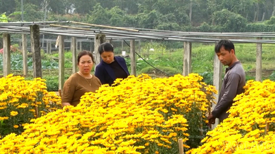 Phuc Khanh primăvara