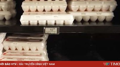 Η Νότια Κορέα εισάγει πάνω από 2 εκατομμύρια αυγά από τις ΗΠΑ για να σταθεροποιήσει τις τιμές.