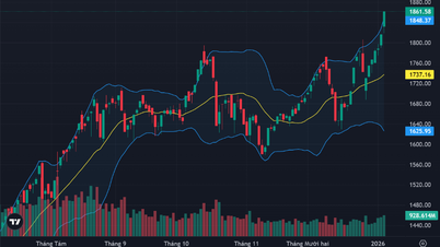 VN-Index میں اضافہ، نئے ریکارڈ قائم کر رہا ہے۔