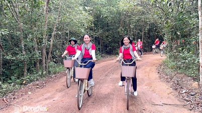 Dong Nai turizmi ve 2026 beklentileri