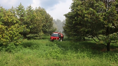 Deceniul „Transformării Dragonului” al agriculturii din Dong Nai