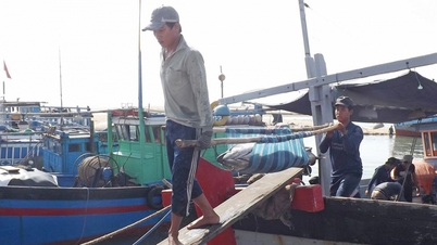 Đắk Lắk sẵn sàng cho đợt thanh tra lần thứ 5 của EC