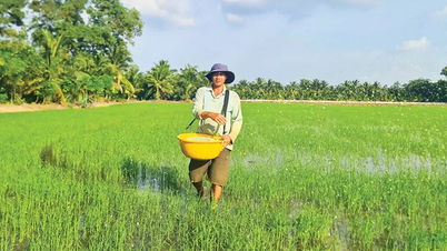 เร่งการปลูกข้าวฤดูหนาว-ฤดูใบไม้ผลิ
