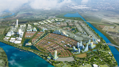하이퐁: 29,000제곱미터가 넘는 부지가 Trang Cat Urban Development Co., Ltd.에 사업 시행을 위해 배정되었습니다.