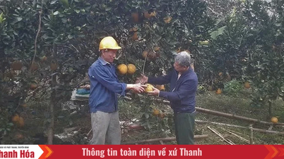 ผู้สูงอายุได้ปลูกฝังจิตวิญญาณแห่งความกระตือรือร้นในการทำงาน