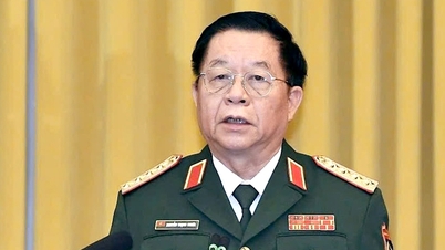 Ulusal Meclis üyeliği için aday olarak General Nguyen Trong Nghia ve General Nguyen Tan Cuong'u tanıtıyoruz.