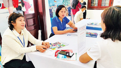 Se han emitido cinco procedimientos administrativos a nivel provincial relacionados con el empleo.