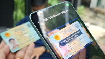 "Desafio Financeiro" Semana 33: Respondendo a perguntas sobre autenticação biométrica em pagamentos online