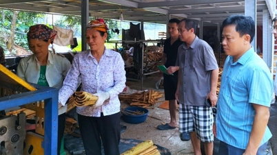 Promover o desenvolvimento sustentável da economia coletiva ajuda os agricultores a enriquecerem.