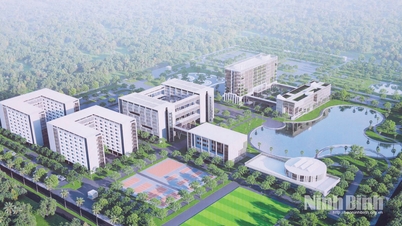 Ninh Binh styrker sitt konkurransefortrinn gjennom et gjennombrudd innen høykvalitets menneskelige ressurser.