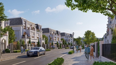 Hinode Royal Park - Een hoogtepunt in de golf van laagbouwprojecten in West-Hanoi.