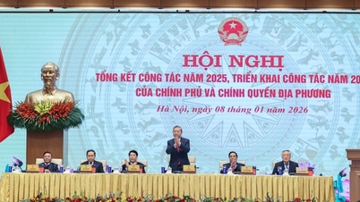 Vietnamul se numără printre țările cu rate de creștere economică ridicate din regiune și din lume.