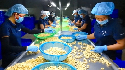 Dong Nai: Daripada 'ibu kota' perindustrian kepada pusat pertanian berteknologi tinggi.