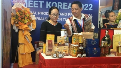 Quang Ngai supprime les « goulots d'étranglement » pour développer une économie coopérative.