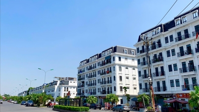 Développement de logements en lien avec l'expansion urbaine et la modernisation de Hai Phong.