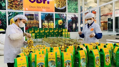 Подготовка поставок экологически чистой сельскохозяйственной продукции для рынка в период празднования Китайского Нового года.