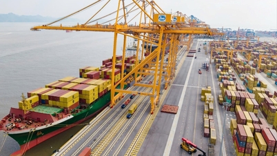 El puerto internacional de TIL Hai Phong tiene como objetivo lograr ingresos de 1,5 billones de VND.