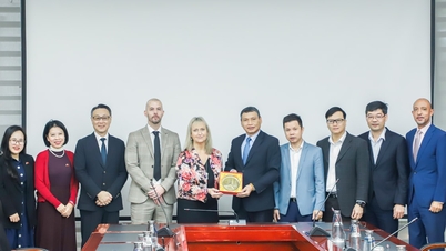 Da Nang podporuje spolupráci s UK Skills Partnership v oblasti vzdělávání lidských zdrojů v oblasti zelených financí.