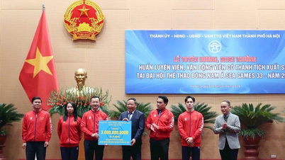 Hanoi 55 millió vietnami dongot ítél oda minden olyan sportoló után, aki aranyérmet nyer a 33. SEA Games-en.
