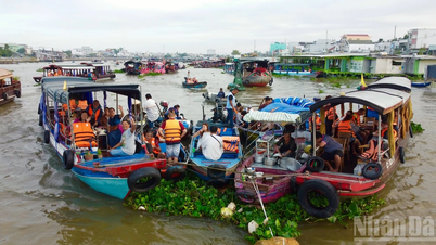 Lênh đênh chợ nổi, ngắm bình minh Tây Đô