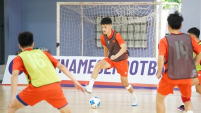 Die vietnamesische Futsal-Nationalmannschaft trainiert derzeit aktiv in Ho-Chi-Minh-Stadt in Vorbereitung auf die Asienmeisterschaft.