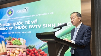 Biyolojik pestisitlerin yönetimi: Düzenlemelerin uyumlaştırılması ve uluslararası entegrasyonun teşvik edilmesi.