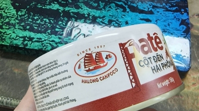 "Ha Long Konserve Ürünleri" markasıyla ilgili açıklayıcı bilgi: İşletme Quang Ninh eyaletinde bulunmamaktadır.