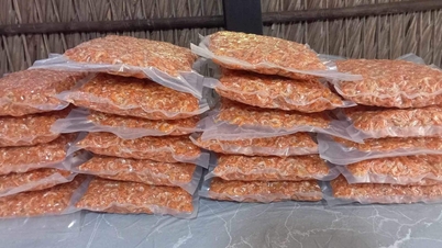 ایک تحفہ جو صرف Ca Mau میں سب سے زیادہ پیارے لوگ دیتے ہیں: مشہور طور پر مزیدار خشک کیکڑے۔