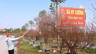 หมู่บ้านดอกท้อญานิทในเทศกาลตรุษจีน
