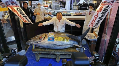 Ny rekord satt på auksjon av blåfinnet tunfisk i Tokyo tidlig i 2026.
