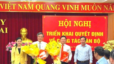 Đồng Nai: Điều động, bổ nhiệm Trưởng Ban Tuyên giáo và Dân vận Tỉnh ủy