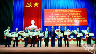 Die Thai Nguyen Iron and Steel Joint Stock Company hat im Jahr 2025 viele ihrer Ziele übertroffen.