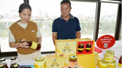 Bắc Ninh: Thúc đẩy khởi nghiệp sáng tạo trong các hợp tác xã