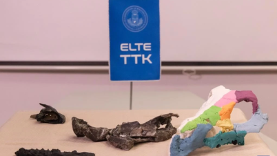 Dinosaur bertanduk hidup di Eropah semasa zaman Kretaseus akhir.