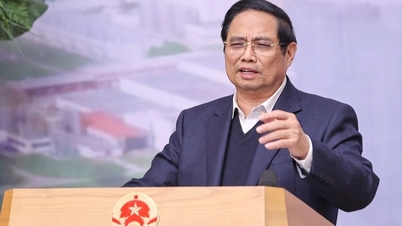 প্রধানমন্ত্রী নির্দেশ দিয়েছেন যে নিন থুয়ান ১ পারমাণবিক বিদ্যুৎ কেন্দ্র প্রকল্প নিয়ে রাশিয়ার সাথে আলোচনা শীঘ্রই শুরু করা হোক।