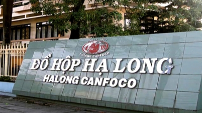 Супермаркеты одновременно изымают продукцию компании Ha Long Canned Food Company и позволяют покупателям обменивать или возвращать ее.