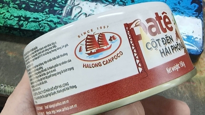 Que répond la société Ha Long, fabricant de conserves, aux allégations d'utilisation de porcs malades ?