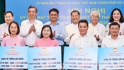 Ciudad Ho Chi Minh fortalece la promoción de la democracia, alentando a los ciudadanos a participar proporcionando retroalimentación sobre las políticas.