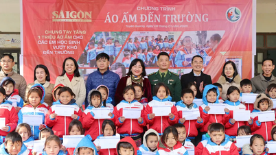 For the third time, Saigon Liberation Newspaper returns to meet with Sơn Vĩ and his team.