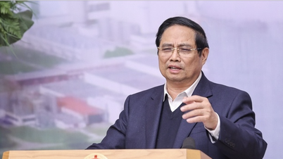 Thủ tướng chỉ đạo sớm đàm phán với Nga về điện hạt nhân Ninh Thuận 1