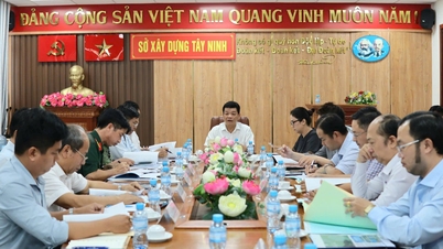 Hội đồng thẩm định tỉnh cho ý kiến các nhiệm vụ quy hoạch đô thị, công nghiệp trên địa bàn