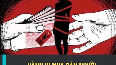 Prévention proactive, action résolue pour mettre fin aux crimes de traite des êtres humains et les punir sévèrement.
