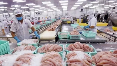 Seafood aims for export revenue of US$11.5 billion in 2026.