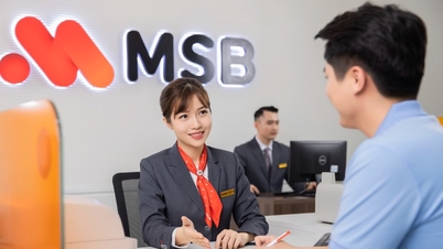 MSB bietet eine umfassende Steuerlösung für Kleinunternehmen.