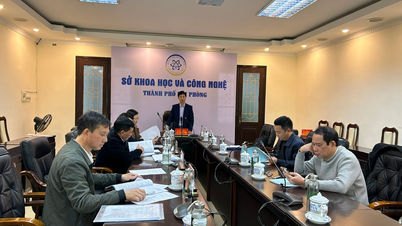 Mengembangkan model produksi komersial untuk varietas padi baru TD25 yang tahan terhadap penyakit blas di provinsi Hai Duong (sekarang kota Hai Phong).