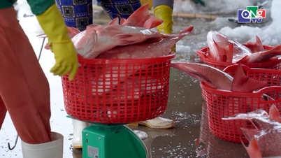 Aquaculture production reached over 300,000 tons.