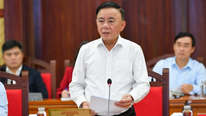 Kesimpulan Politburo dan Sekretariat mengenai beberapa tugas utama organisasi Parti akar umbi.