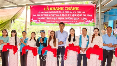 มีการสร้างสะพานใหม่จำนวนมากในพื้นที่ห่างไกล